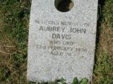 image of grave number 236869